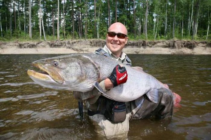 Acid Picdump (104 pics)