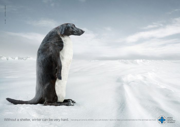 Funny and Manipulated Ads (31 pics)