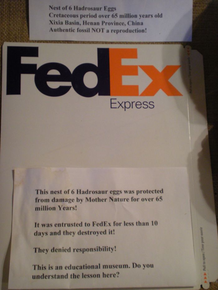 Never Ship Dinosaur Eggs with FedEx (2 pics)