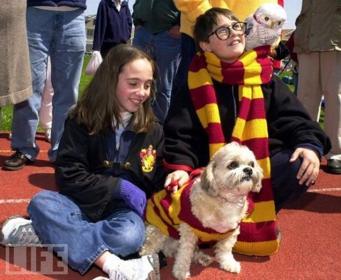 Harry Potter Pets (20 pics)