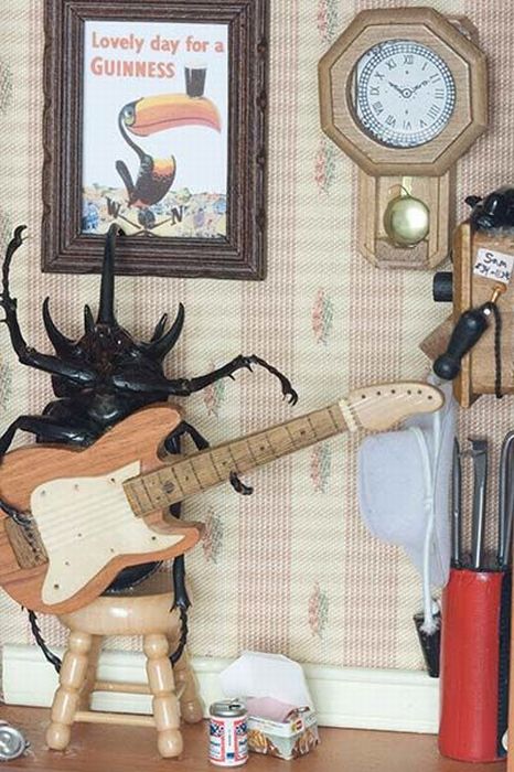 Beetles Take Over Human World (32 pics)