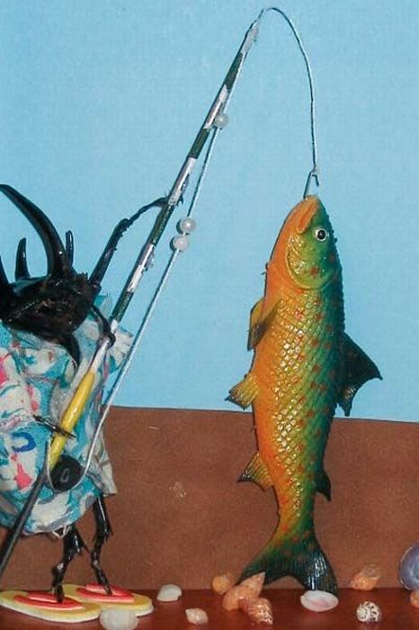 Beetles Take Over Human World (32 pics)