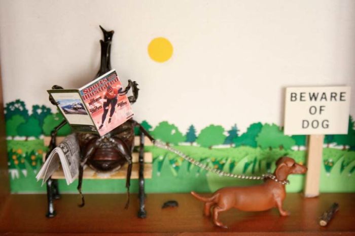 Beetles Take Over Human World (32 pics)