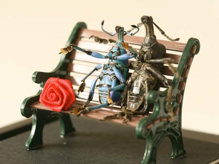 Beetles Take Over Human World (32 pics)