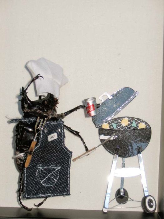 Beetles Take Over Human World (32 pics)