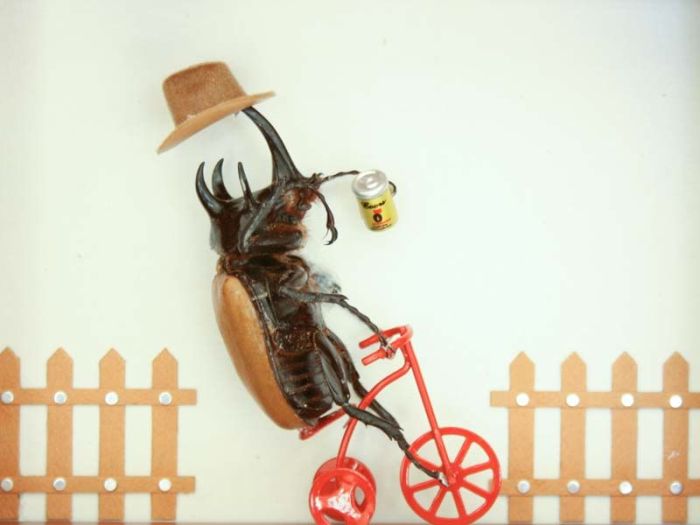 Beetles Take Over Human World (32 pics)
