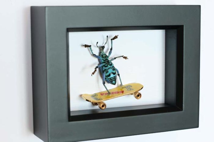 Beetles Take Over Human World (32 pics)