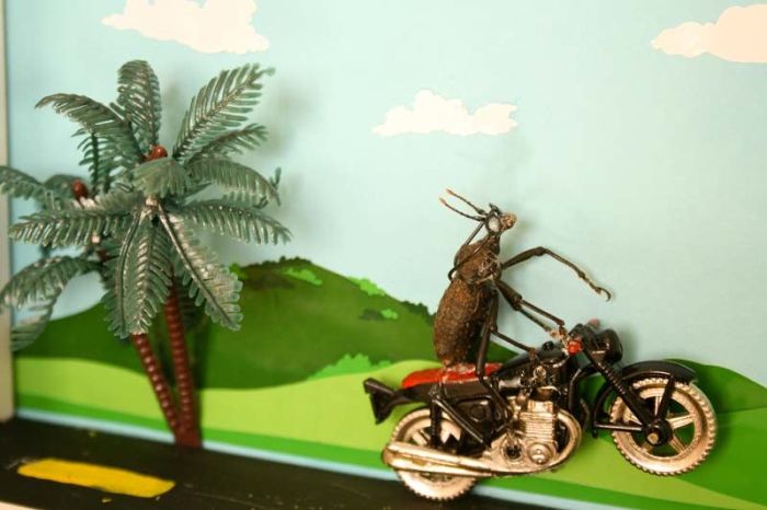 Beetles Take Over Human World (32 pics)