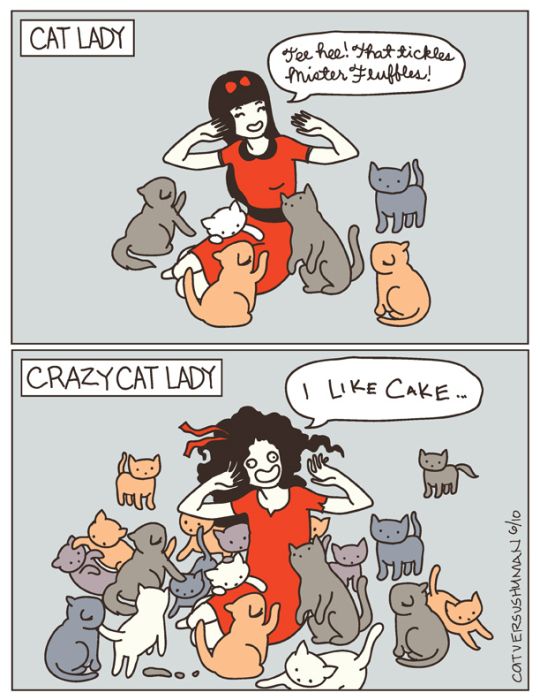 Cat versus Human (36 pics)