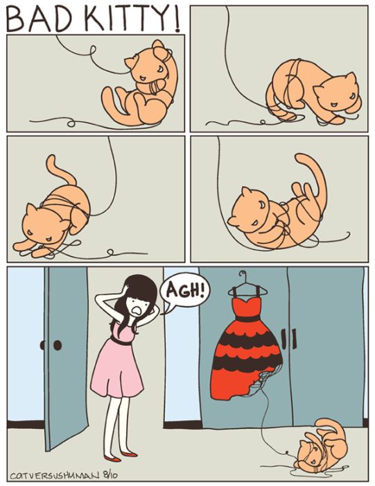 Cat versus Human (36 pics)