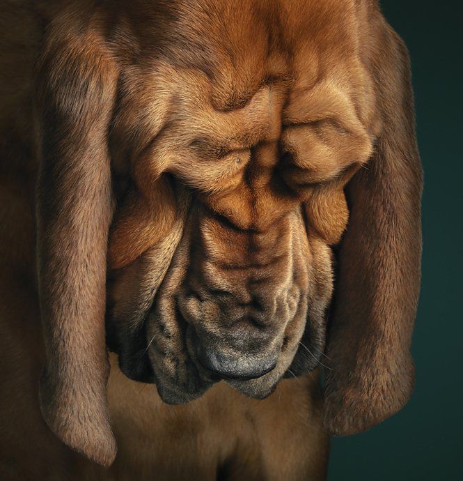 Acid Picdump (96 pics)