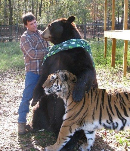 Acid Picdump (96 pics)