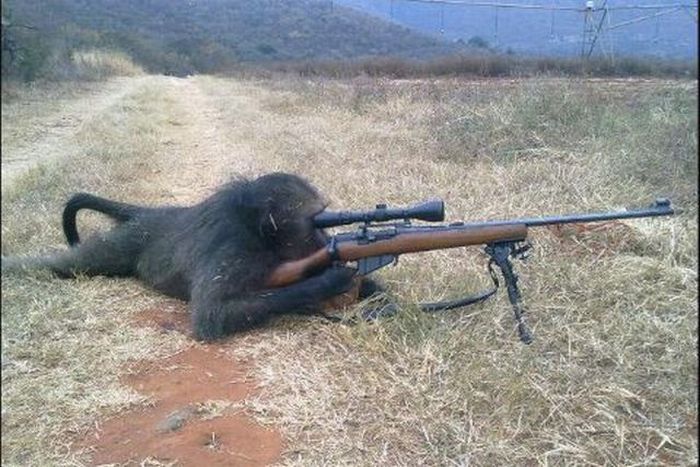 Acid Picdump (96 pics)