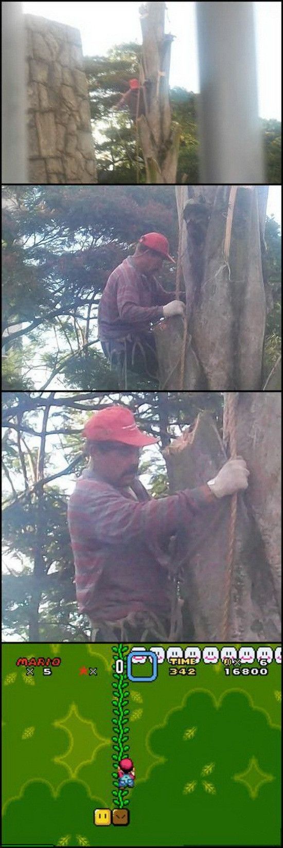 Acid Picdump (96 pics)