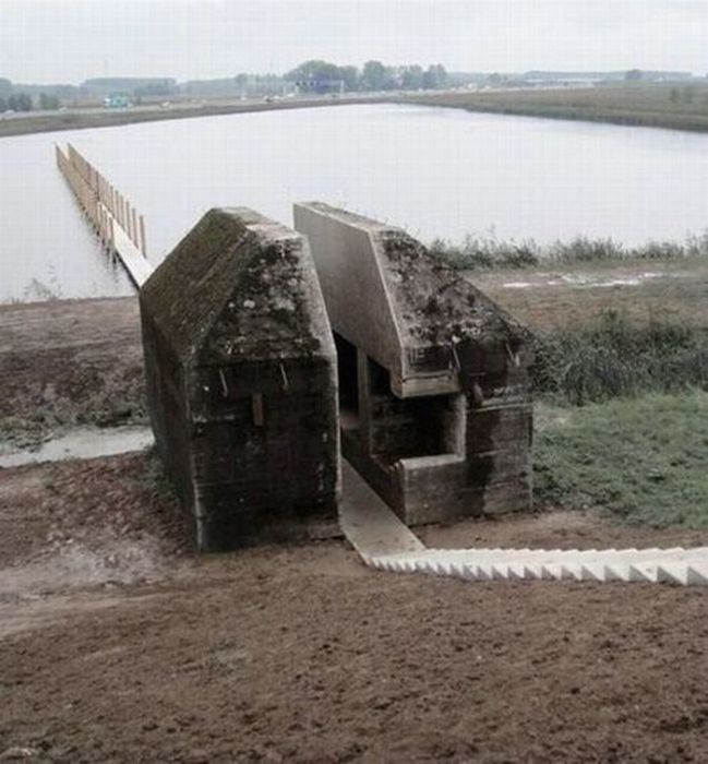 Acid Picdump (96 pics)