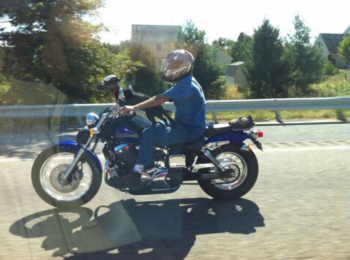 Acid Picdump (96 pics)