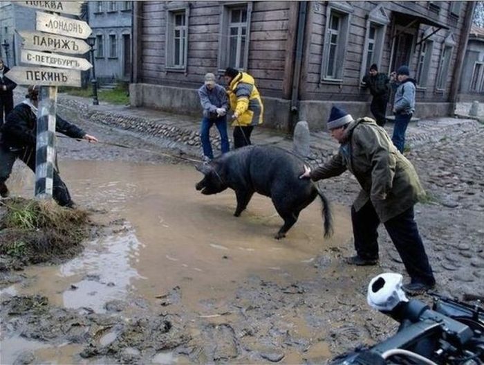 Acid Picdump (96 pics)