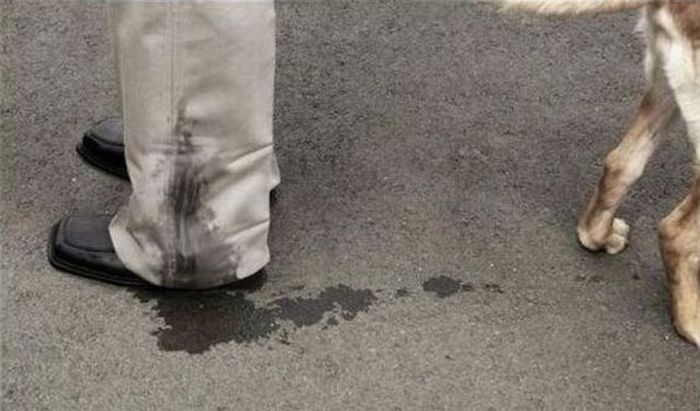 Acid Picdump (96 pics)