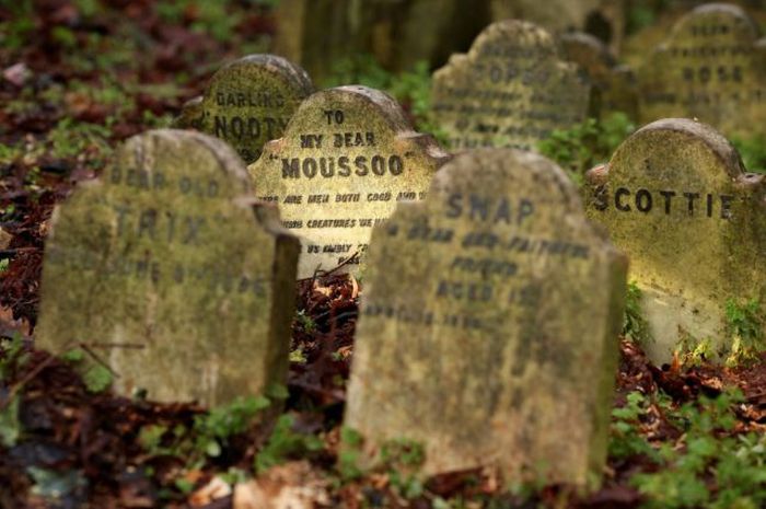 Pet Cemetery in London's Hyde Park (8 pics)