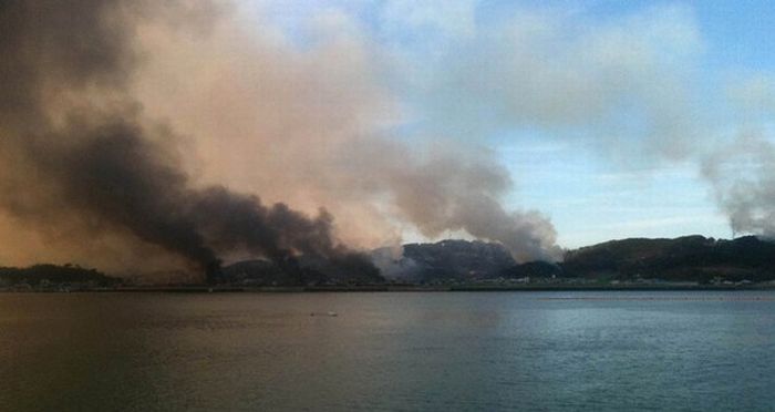 Aftermath of Nort Korea's Missle Strike on Yeonpyeong Island (20 pics)