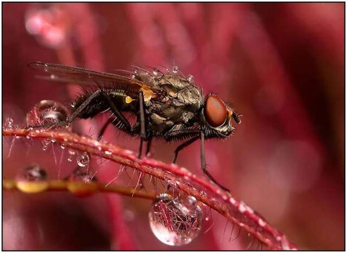 Beautiful Rain Photos (28 pics)