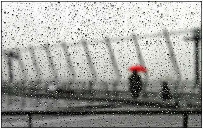 Beautiful Rain Photos (28 pics)