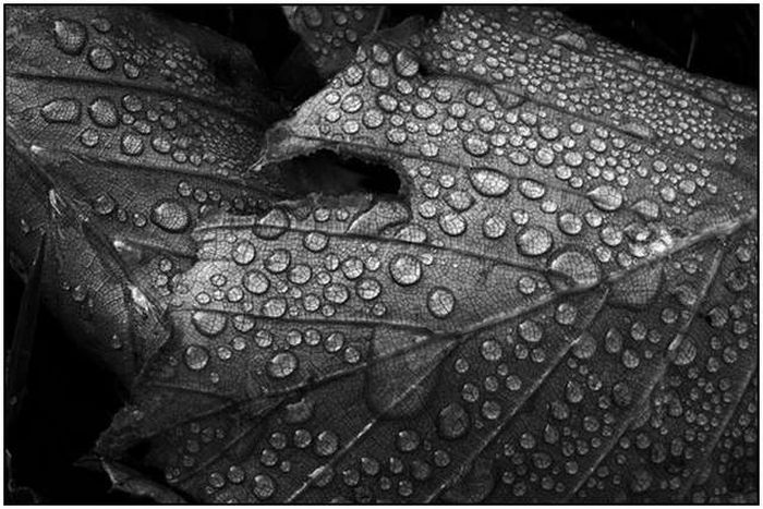 Beautiful Rain Photos (28 pics)