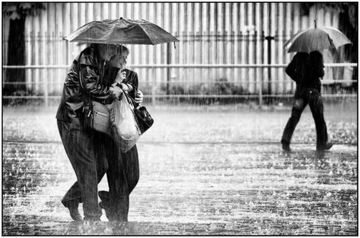 Beautiful Rain Photos (28 pics)