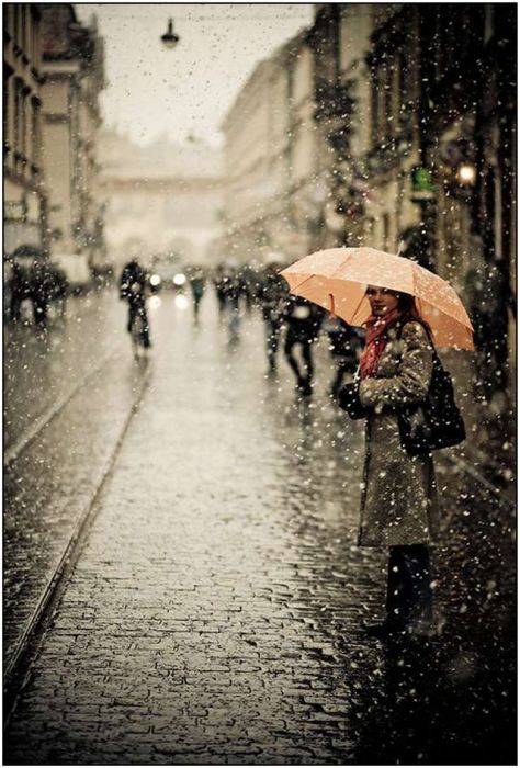 Beautiful Rain Photos (28 pics)