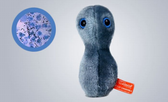 Giant Plush Microbes (20 pics)