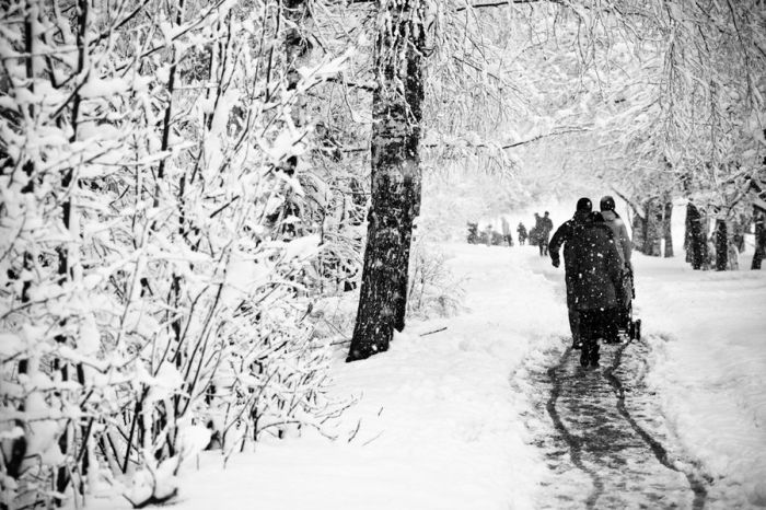 Beautiful Winter Photos (31 pics)