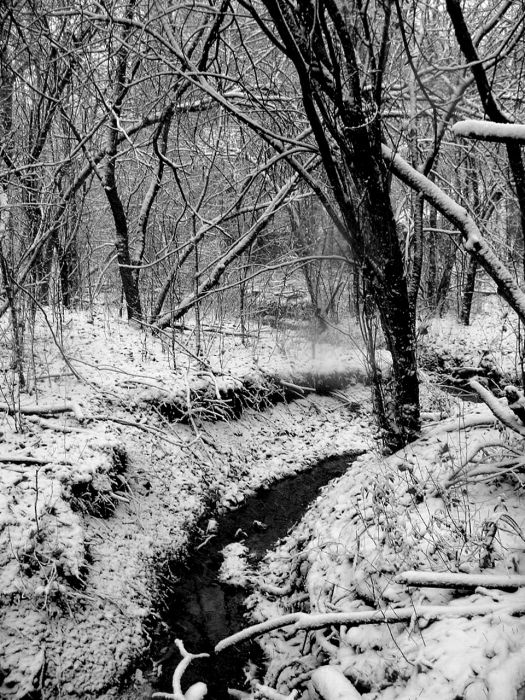 Beautiful Winter Photos (31 pics)