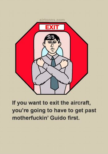 In-Flight Safety Cards (56 pics)
