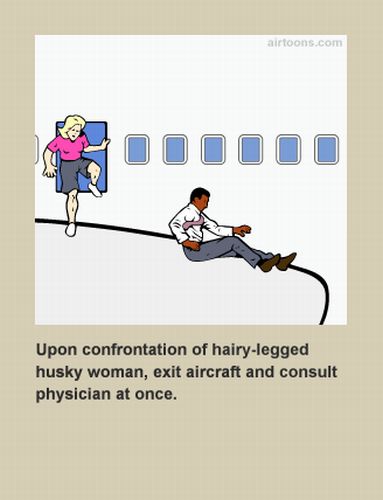 In-Flight Safety Cards (56 pics)