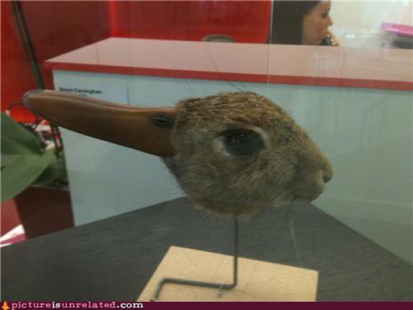 WTF Pictures. Part 4 (71 pics)