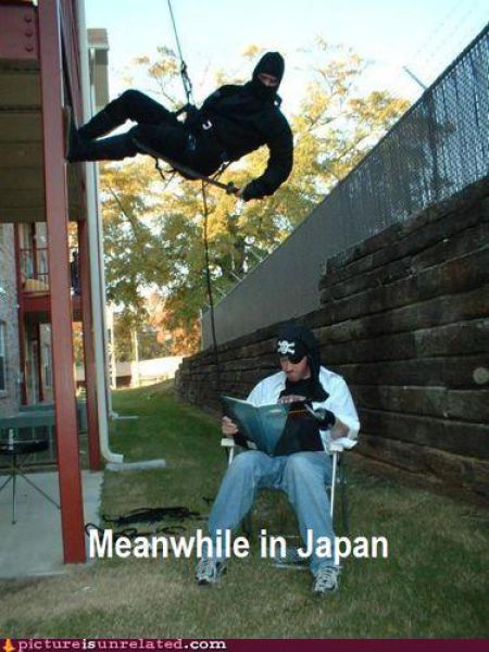 WTF Pictures. Part 4 (71 pics)
