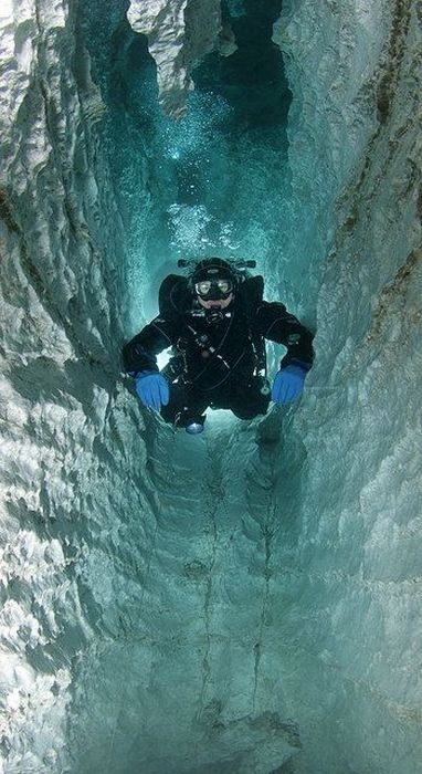 Beautiful Underwater Cages (23 pics)