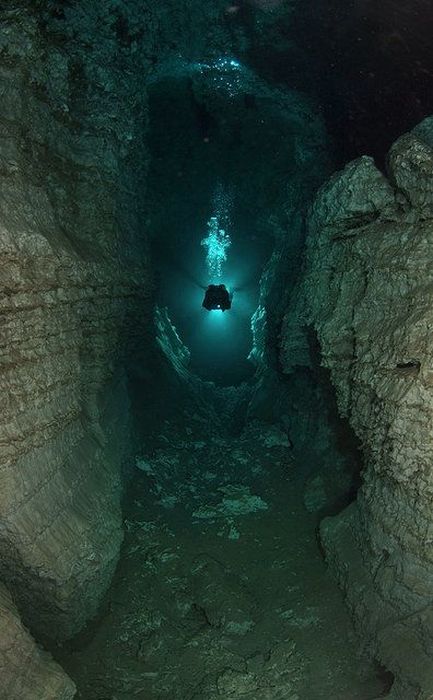 Beautiful Underwater Cages (23 pics)