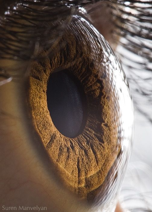 Your Beautiful Eyes (20 pics)
