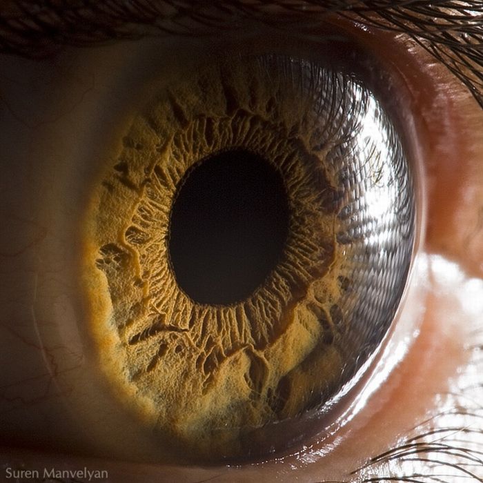 Your Beautiful Eyes (20 pics)