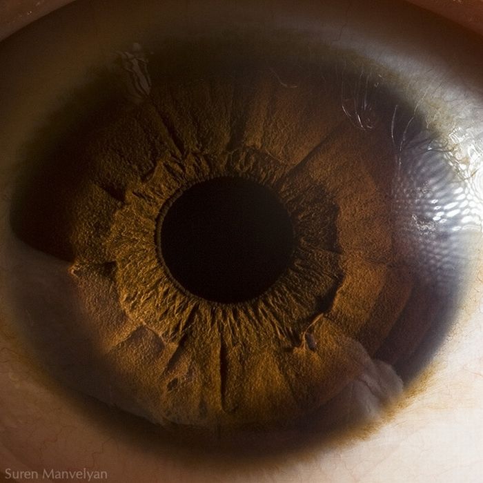 Your Beautiful Eyes (20 pics)
