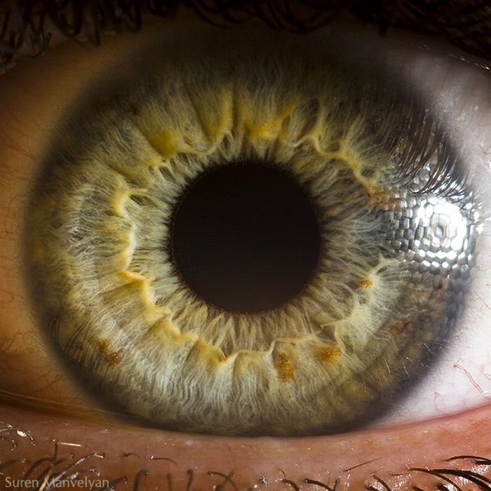Your Beautiful Eyes (20 pics)