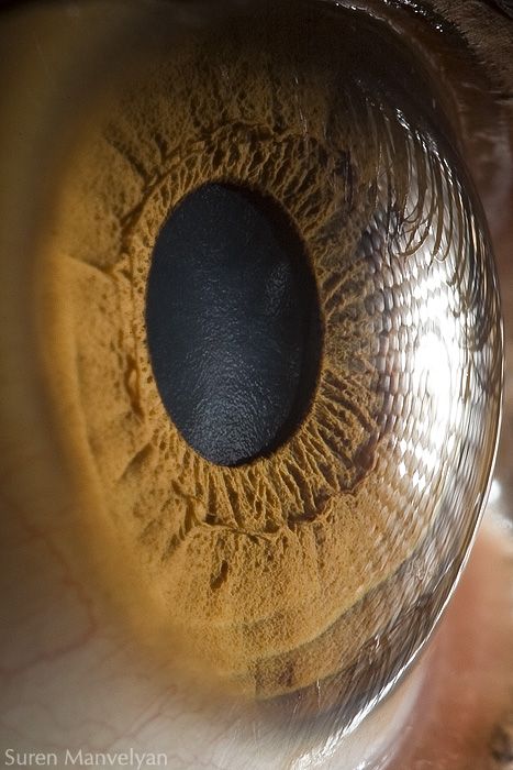 Your Beautiful Eyes (20 pics)