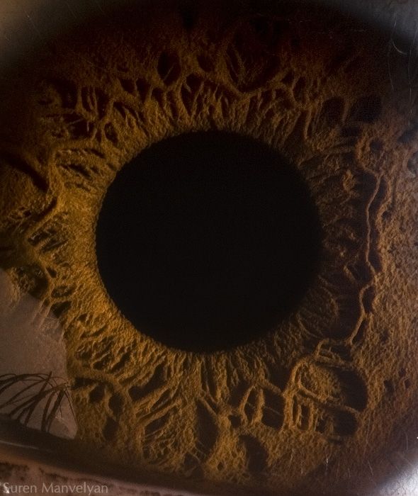 Your Beautiful Eyes (20 pics)