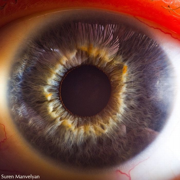 Your Beautiful Eyes (20 pics)