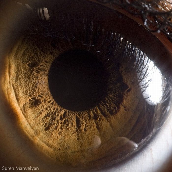 Your Beautiful Eyes (20 pics)