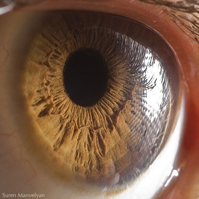Your Beautiful Eyes (20 pics)