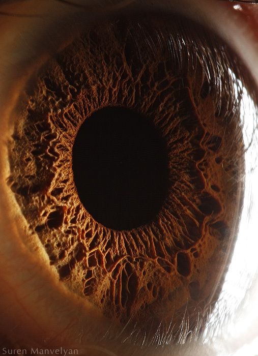 Your Beautiful Eyes (20 pics)