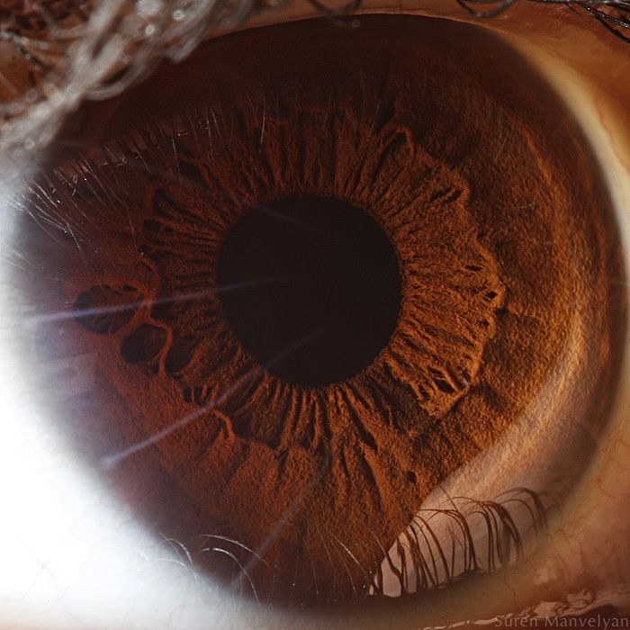 Your Beautiful Eyes (20 pics)