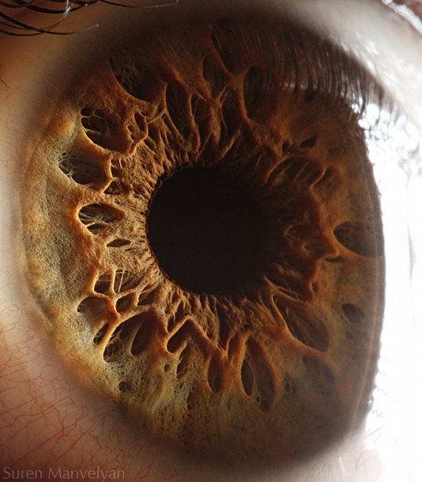 Your Beautiful Eyes (20 pics)
